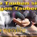 Mario Eduard Giovanelli