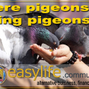 Mario Eduard Giovanelli